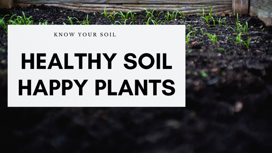 Unlocking the Secrets of Lush Gardens: The Vital Role of Soil Quality in Plant Growth