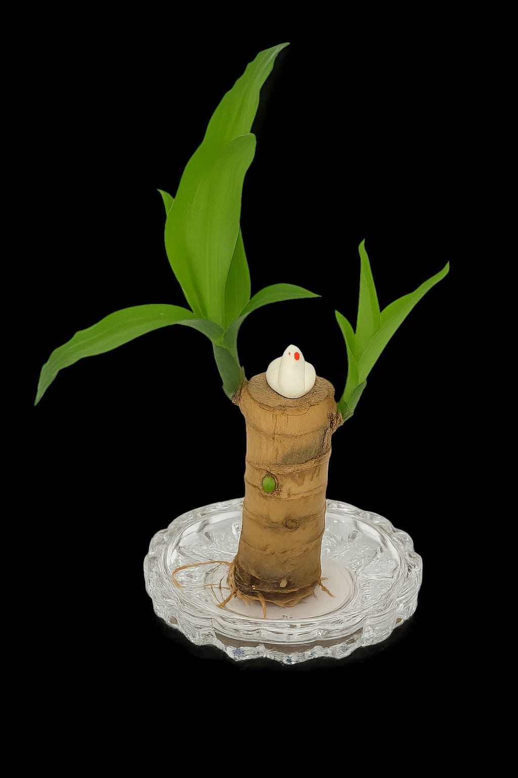 Brazilian Lucky Wood | Timeless Strength, Natural Beauty |