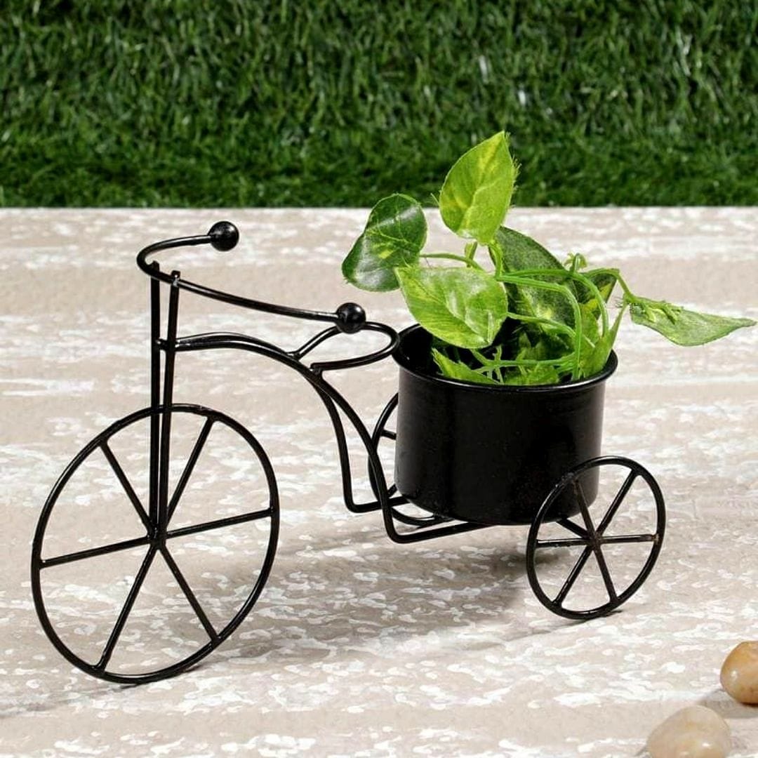 tricycle pot plant holder Black Tricycle Planter (Small) – Leafy Island