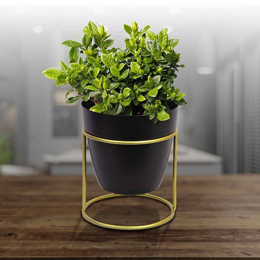 Black Petite Table Planter & Stand (4.5 Inch)