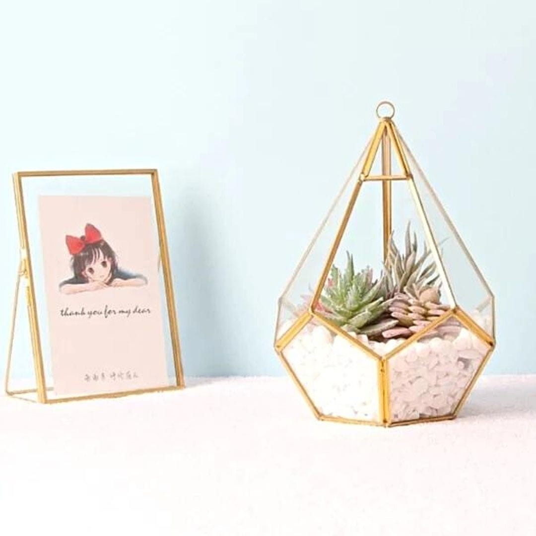 gold succulent terrarium Gold Nest Hanging Terrarium – Leafy Island