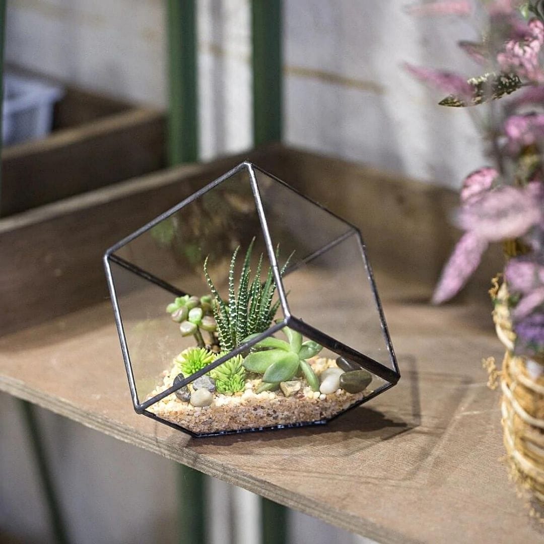 terrarium planter Cubic Tipped Terrarium Planter – Leafy Island