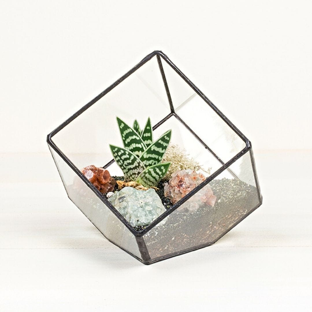 Cubic Tipped Terrarium Planter
