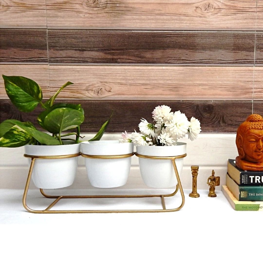 white plant pot with gold stand Stella 3 nos White Tabletop Planter & Stand Set – Leafy Island