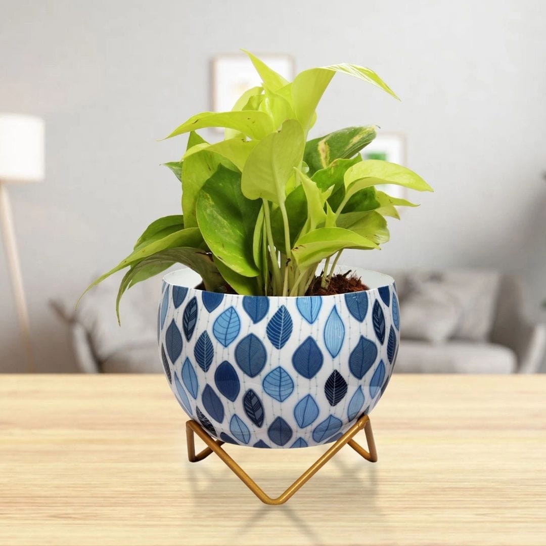 Leafy Island Lavender Table Top Planter