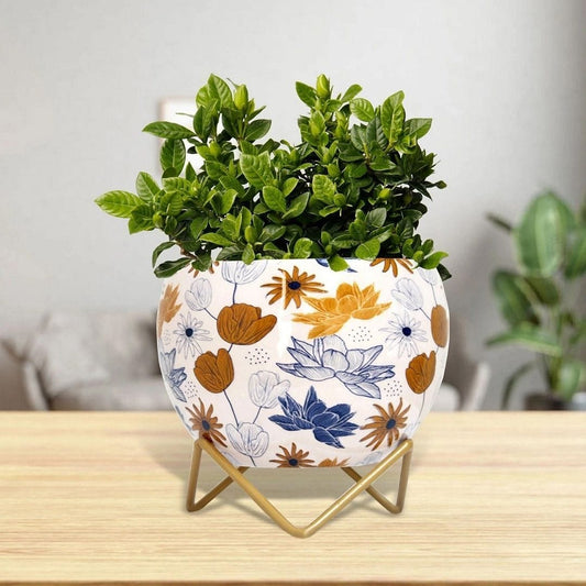 Leafy White Lavender Table Top Planter