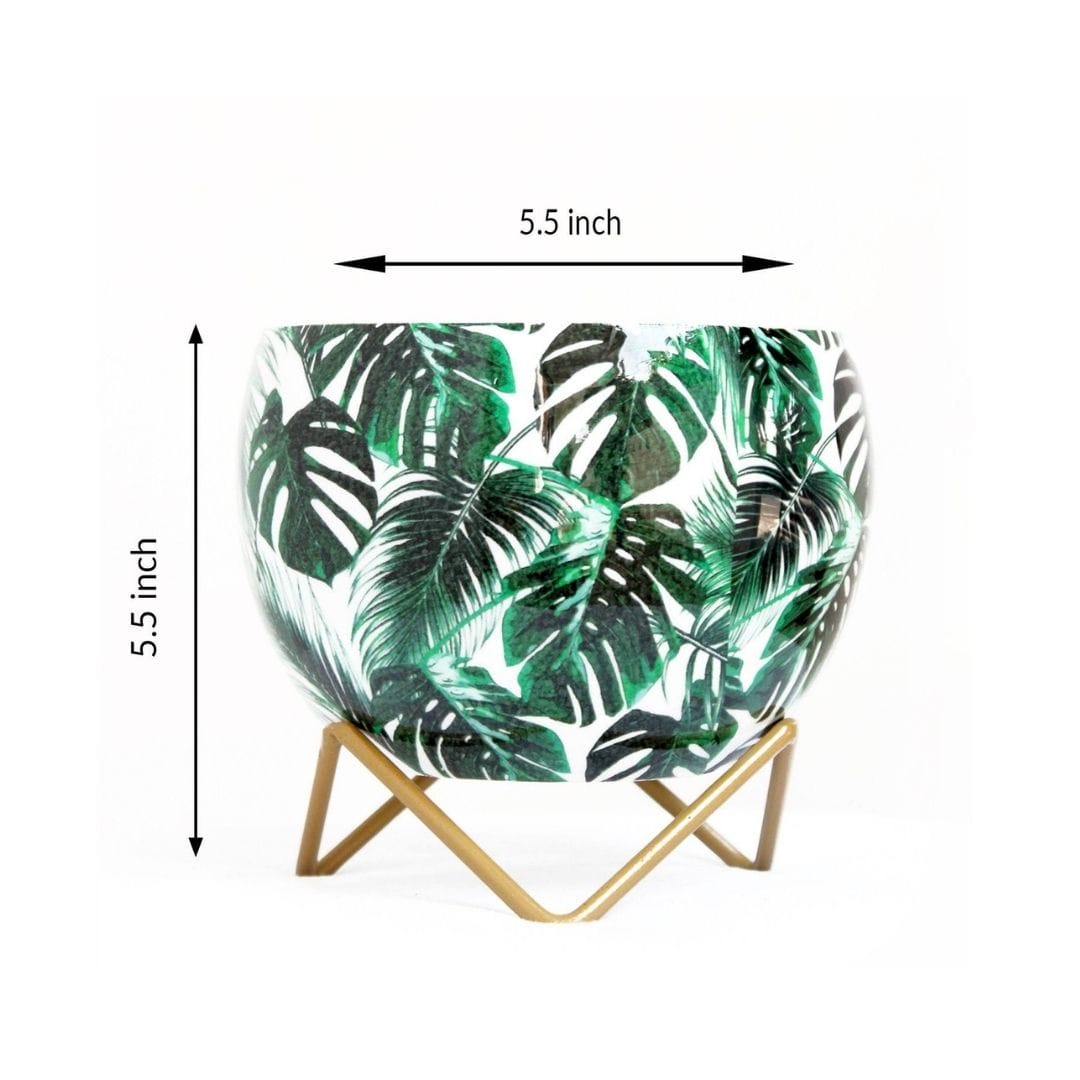 Leafy Monstera Lavender Table Top Planter