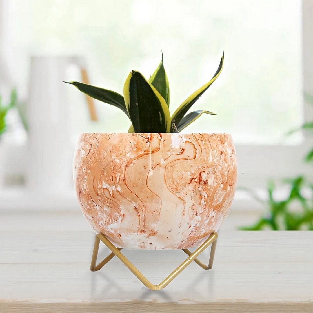 top plant pots Marble Orange Lavender Table Top Planter – Leafy Island