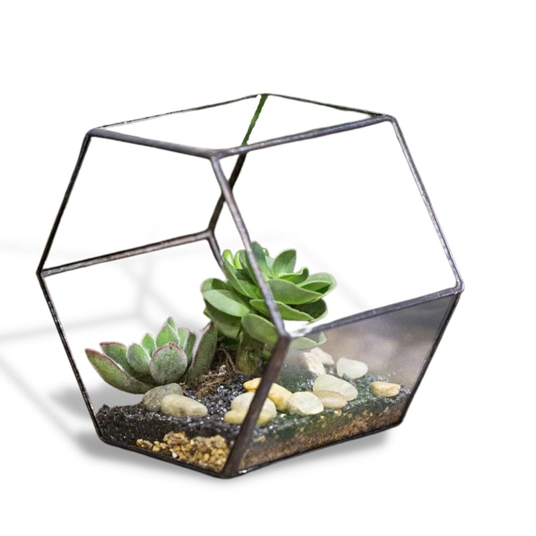 GeoHex Tabletop Terrarium Planter