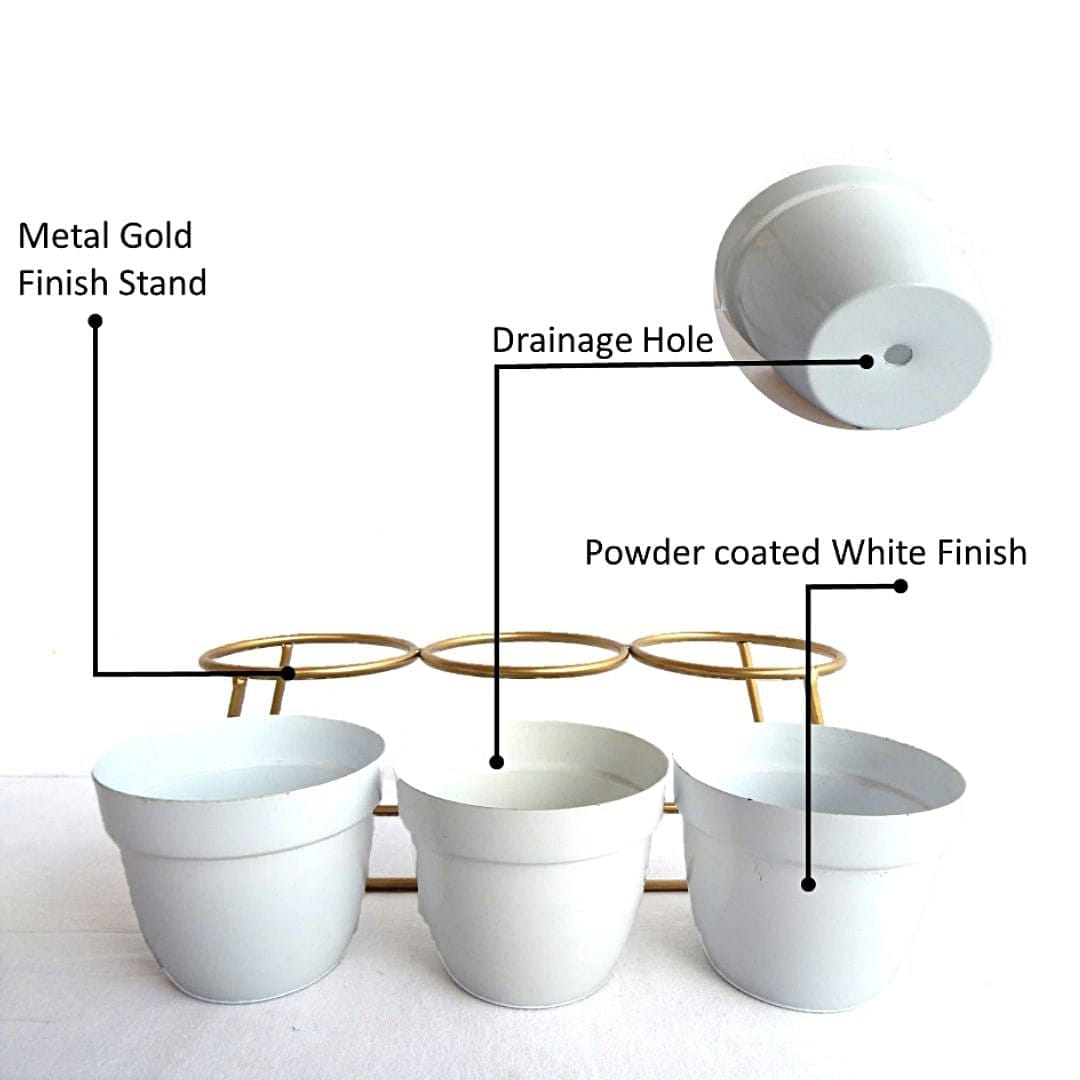Stella 3 nos White Tabletop Planter & Stand Set