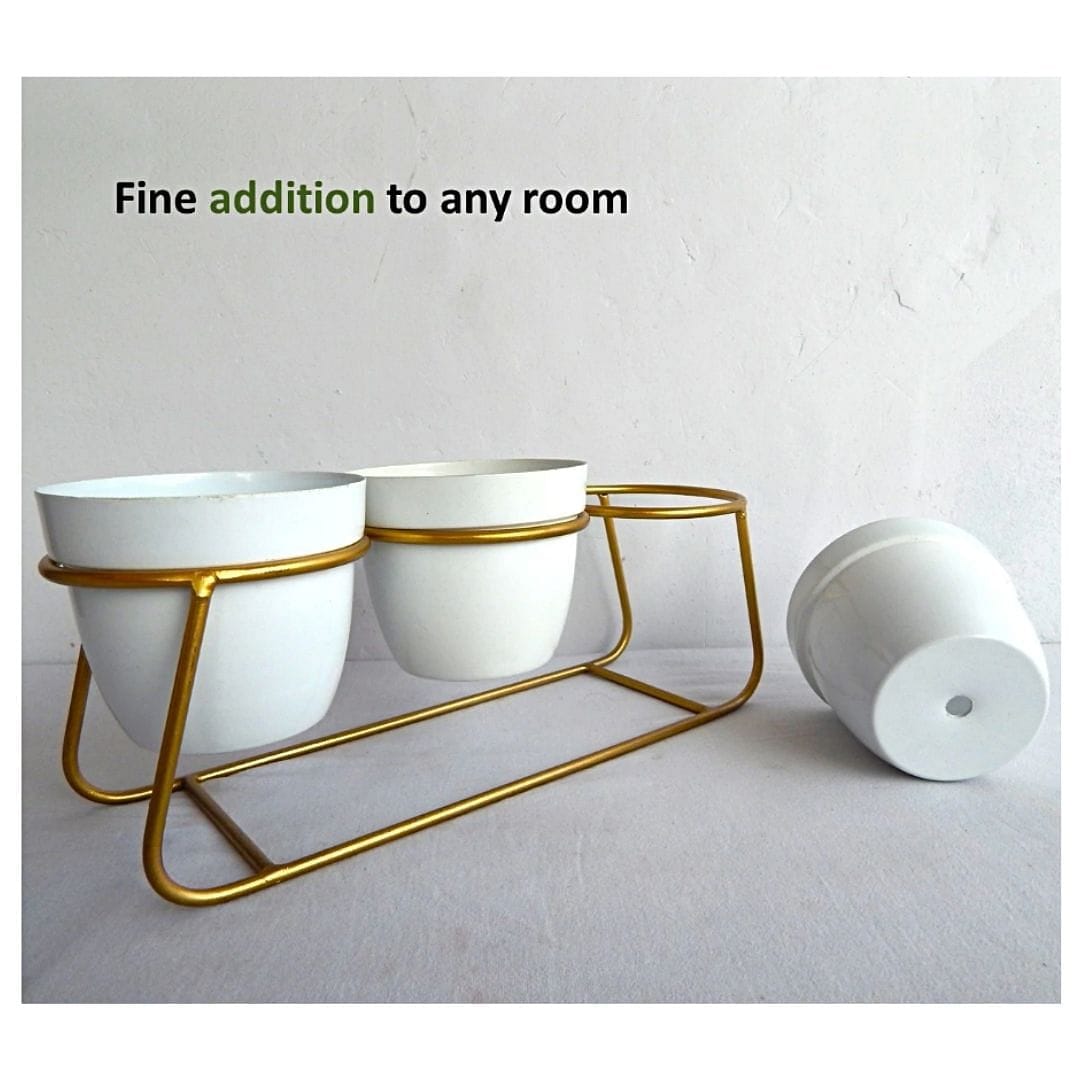 Stella 3 nos White Tabletop Planter & Stand Set