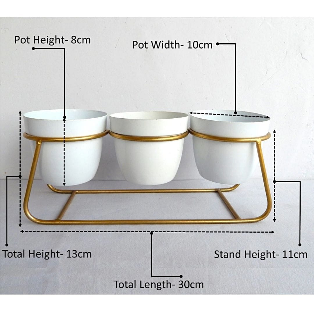 Stella 3 nos White Tabletop Planter & Stand Set