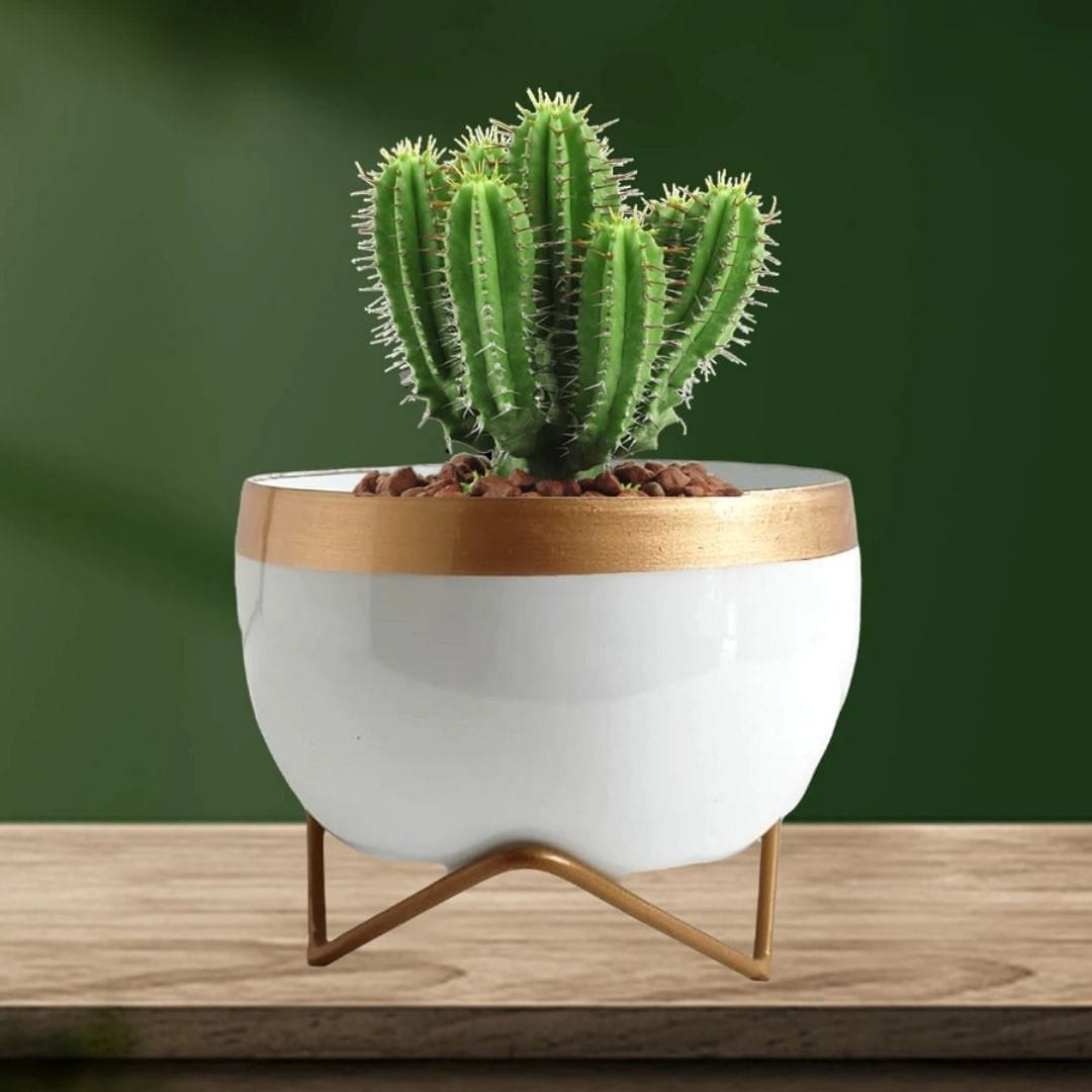 White Lavender Table Top Planter