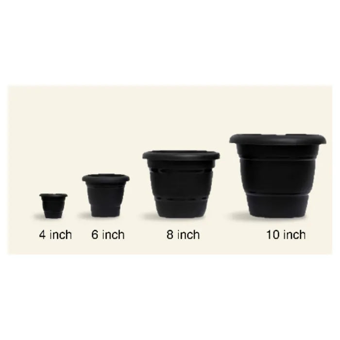 4-inch Black/ Brown  Garden/ Indoor Pot - Set of 10/20