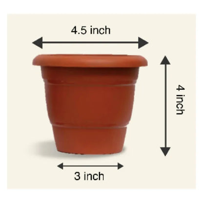 4-inch Black/ Brown  Garden/ Indoor Pot - Set of 10/20