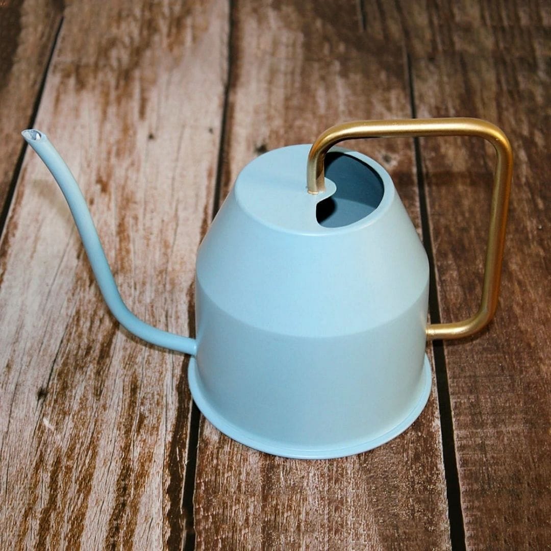 Leafy Aqua Sprout Watering Can | Available Color White, Brown, Cyan & Green |