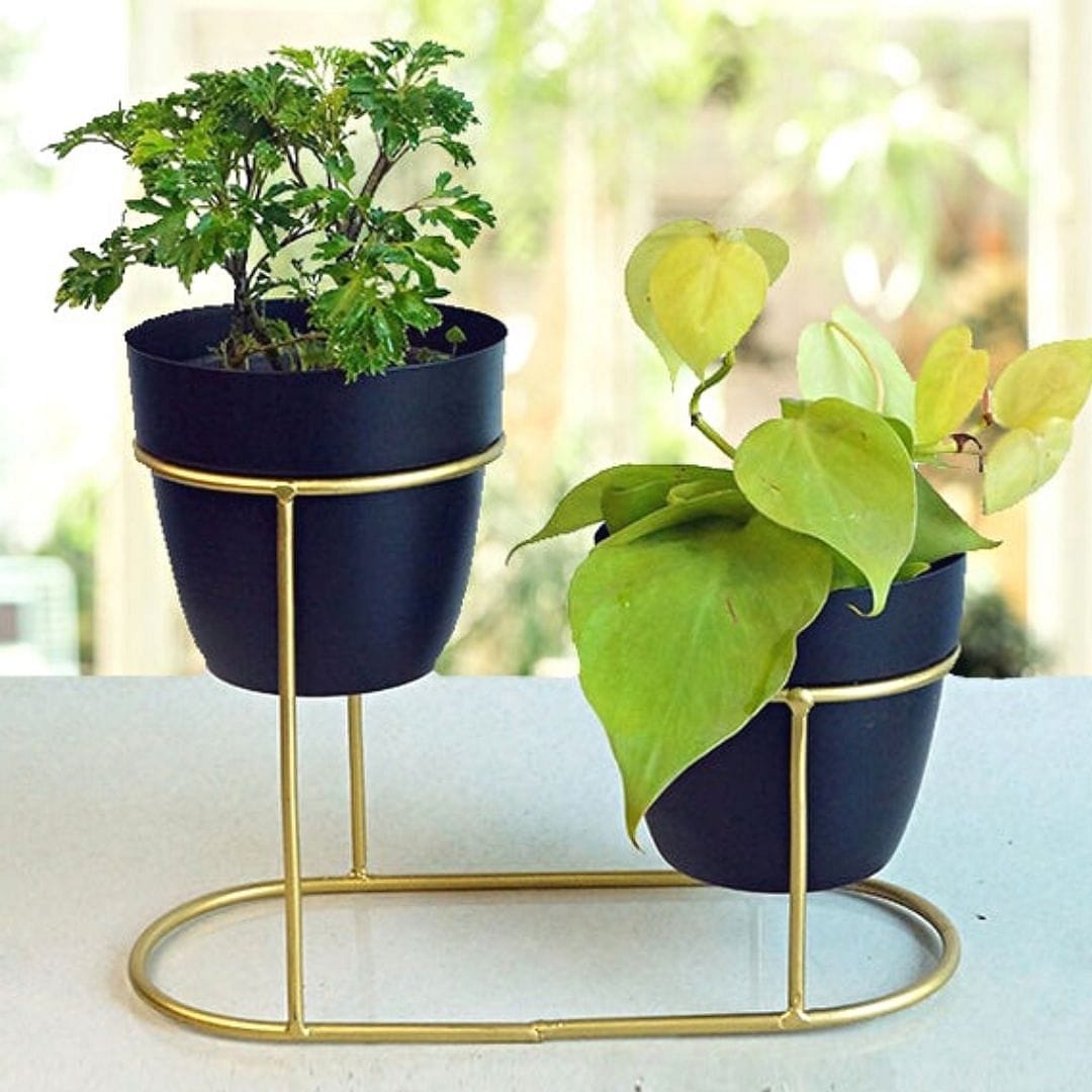 double potting indoor plants Double Pot Black Tabletop Metal Planter – Leafy Island