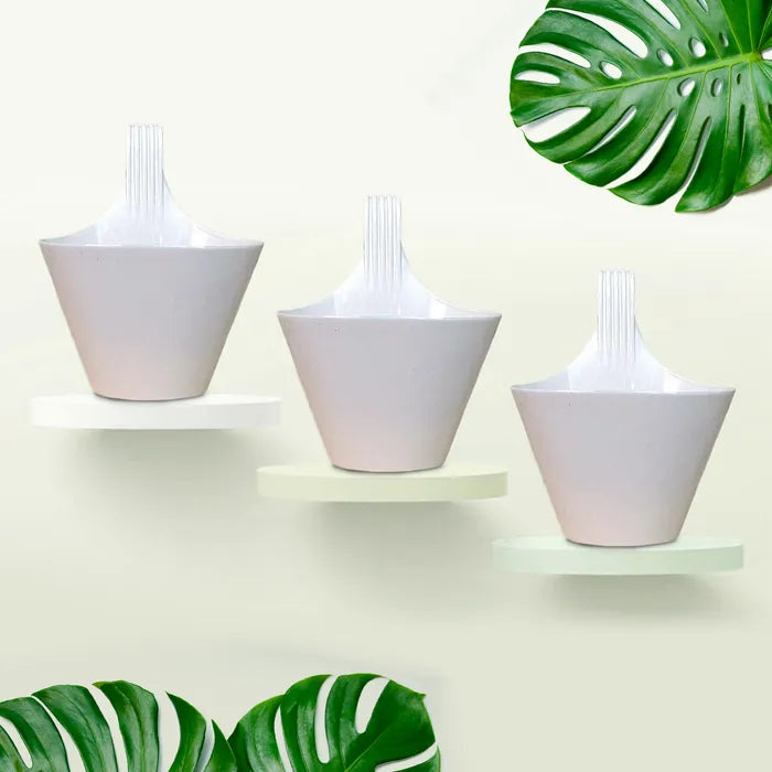 9 inch white plant pot 9-Inch White Railing Oval Pots Set of 3/5 – Leafy Island
