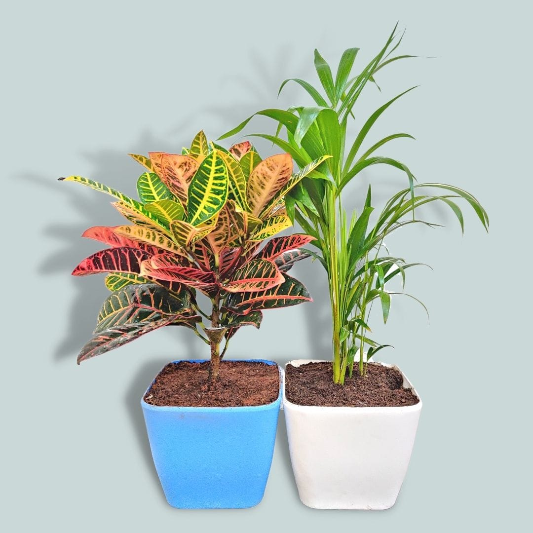 9-Inch Square Grain White/ Blue - Premium Planters