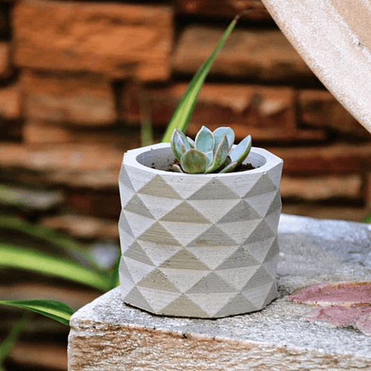 6-Inch Tryst Concrete Pot (Medium) Set of 1/2 | Available Color White, Beige, Red, Blue & Green |