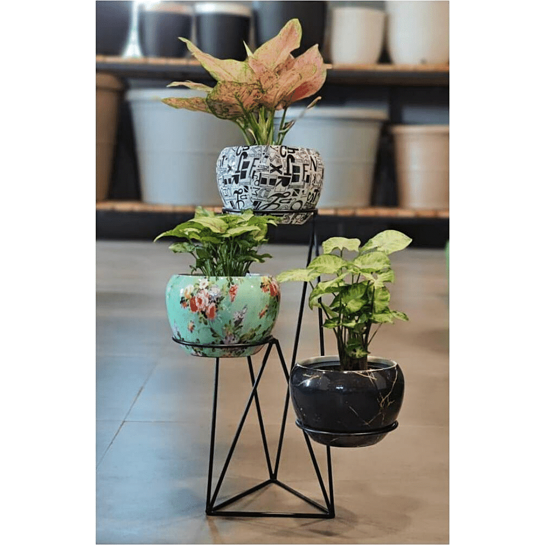 3-Tier Stand with Apple Pots