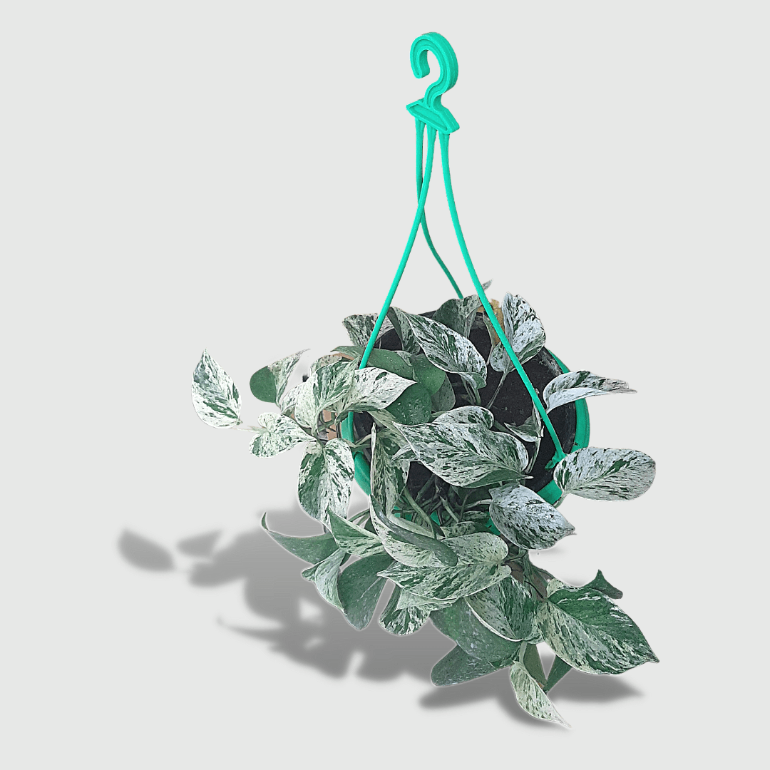 9-Inch Green Color Hanging Pots- Set of 5/10