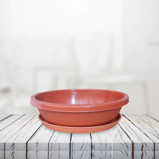 12-Inch Bonsai Oval Plastic Pot with Tray - Brown Color Set of 2/4