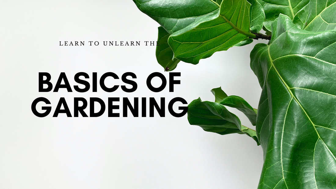 Learn To Unlearn The Basics of Gardening