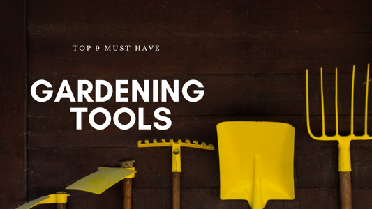 Top 9 Must Have Gardening Tools