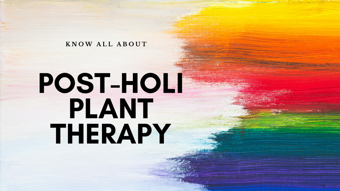 The Post Holi Therapy For Your Plants