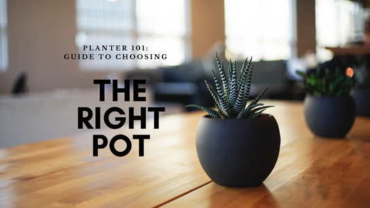 Planter 101- Guide to Choosing The Right Pot