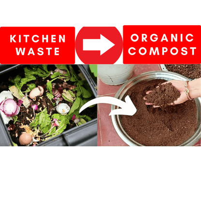 Organic Kitchen Waste Compost 0.5 Kg - All Rounder Fertilizer Mix