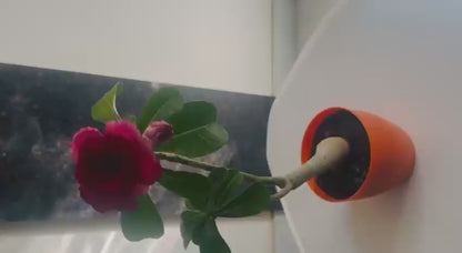 updated#gid://shopify/Video/35112024375549#video_id