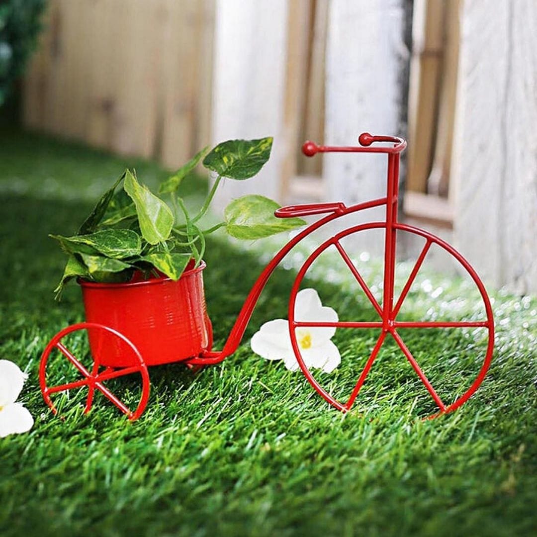 Red Tricycle Planter (Small)