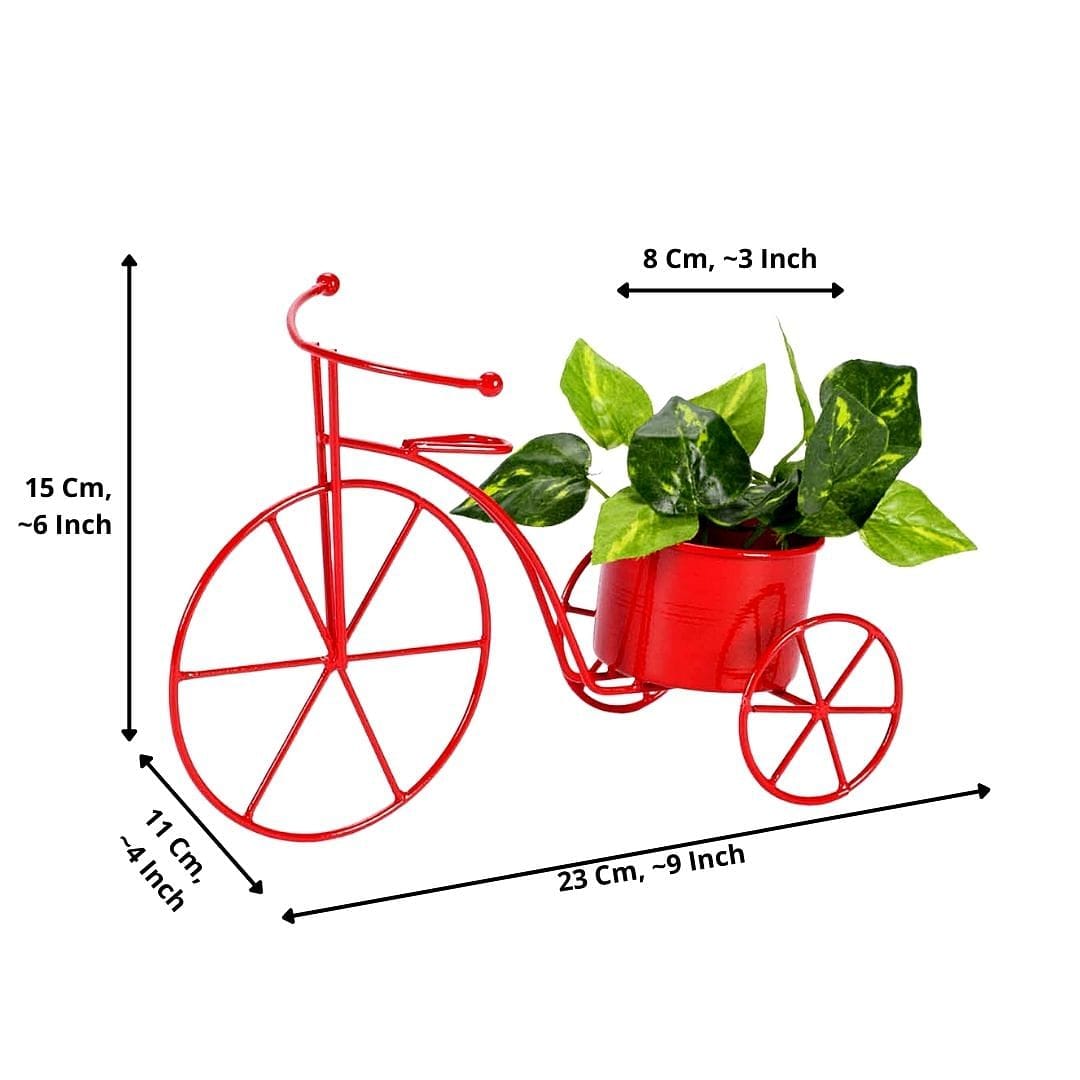 Red Tricycle Planter (Small)