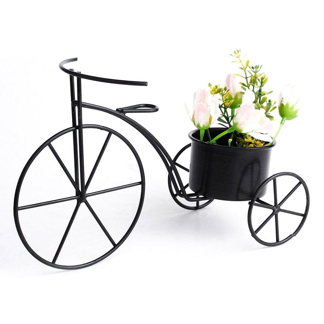 Black Tricycle Planter (Small)