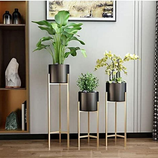 Nordic Matte Black-Gold Planter & Pot - Set of 3