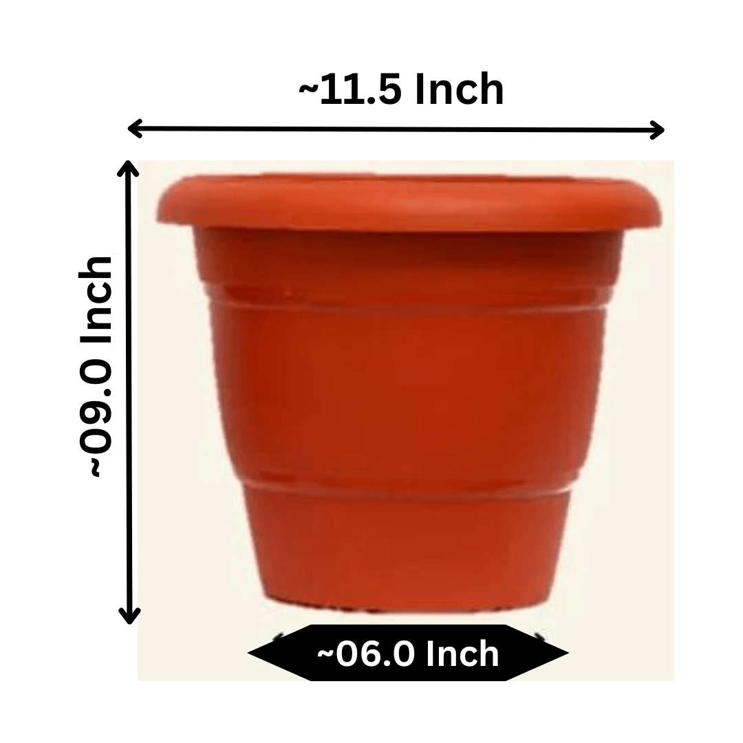 12-Inch Brown Flower Pot - Set of 5/10