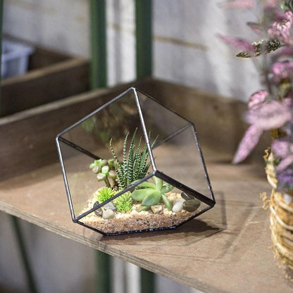 Cubic Tipped Terrarium Planter