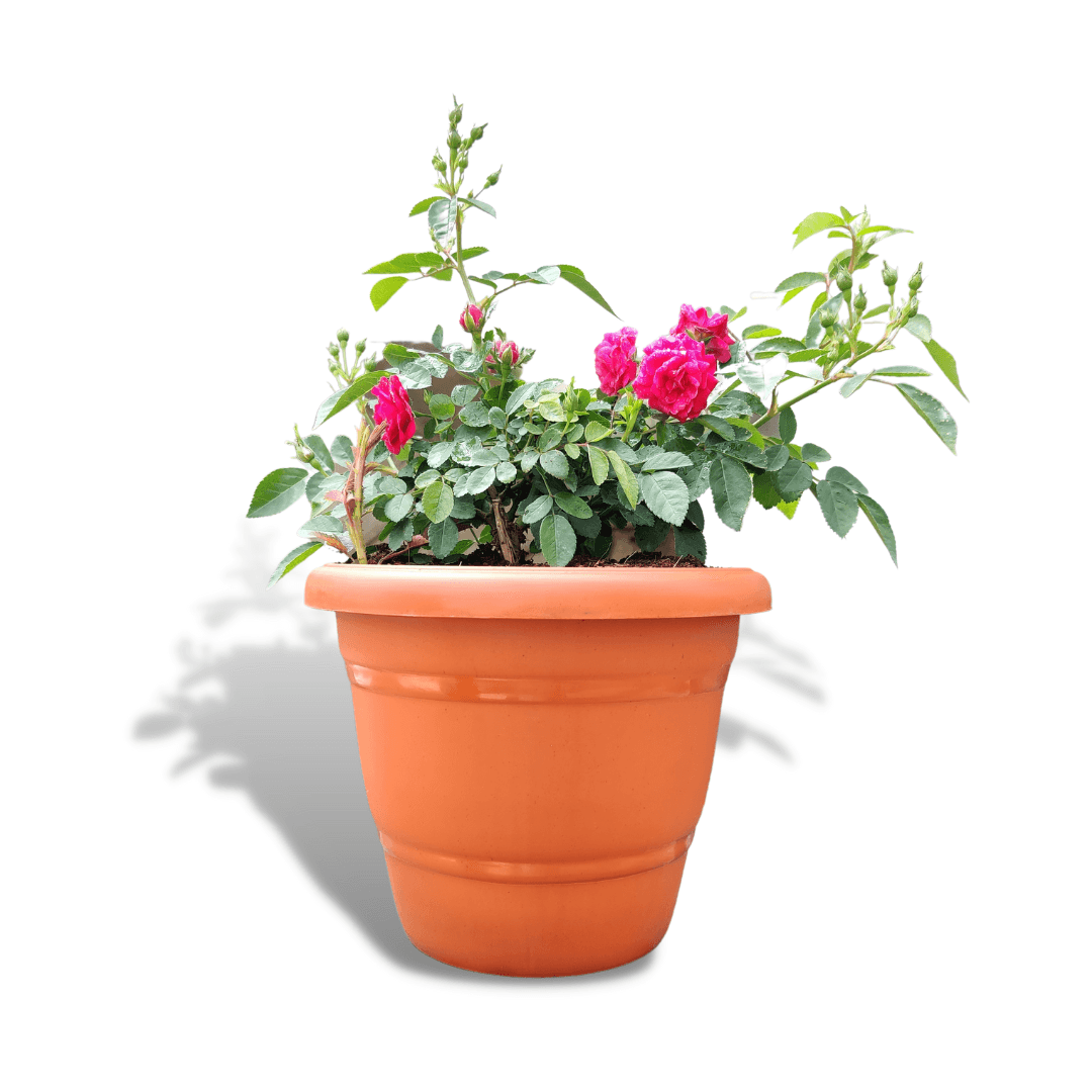 12-Inch Brown Flower Pot - Set of 5/10