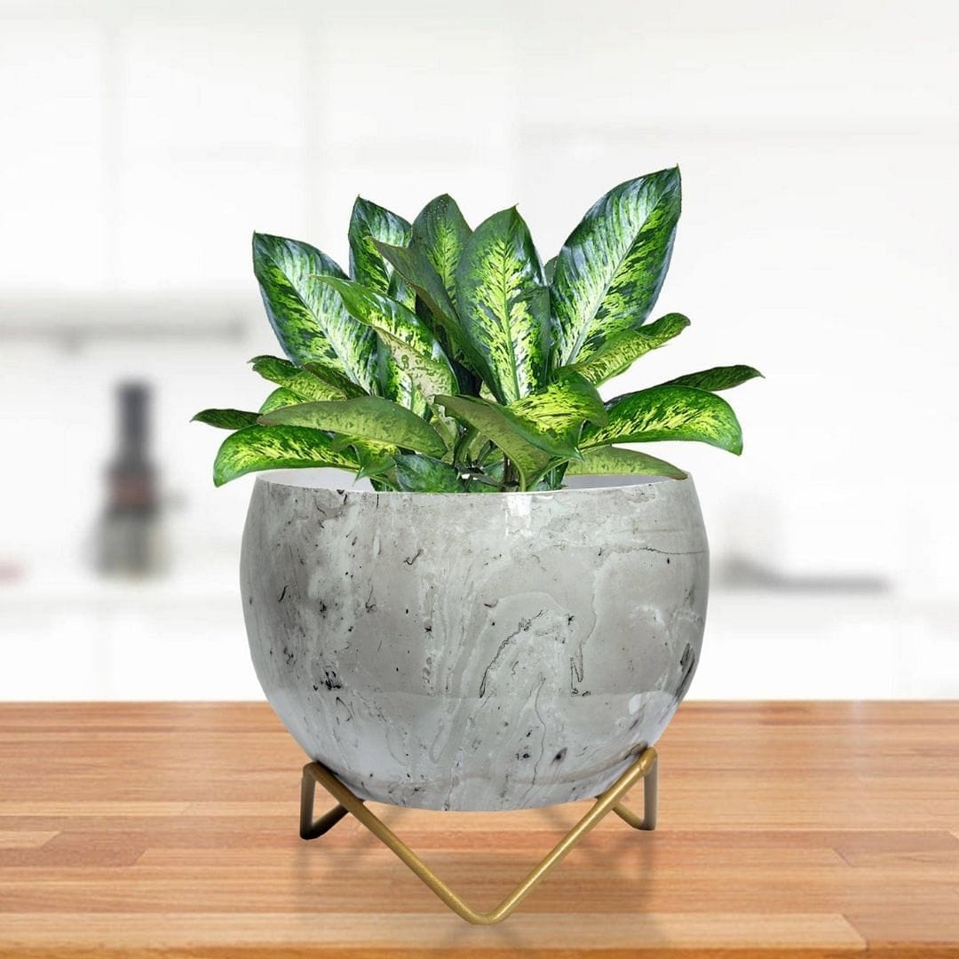 Marble Grey Lavender Table Top Planter