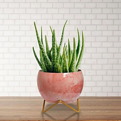 Marble Pink Lavender Table Top Planter