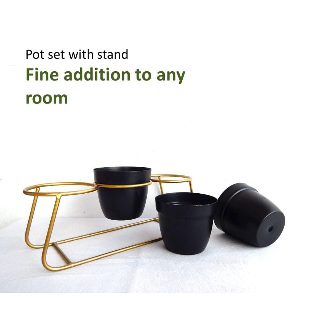 Stella 3 nos Black Tabletop Planter & Stand Set