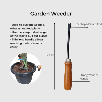 What Garden Tools to Use: Essential Equipment Guide