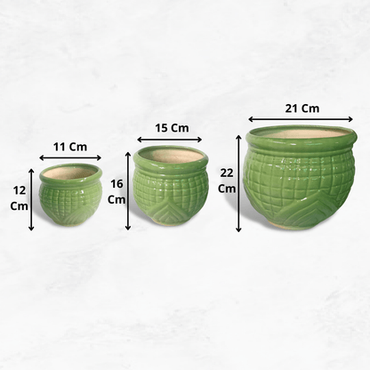 Matka Ceramic Planter Set (S/M/L Sizes)