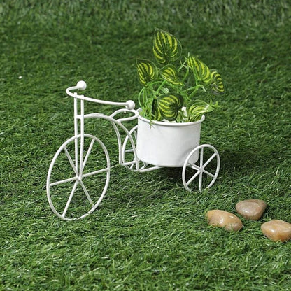 White Tricycle Planter (Small)