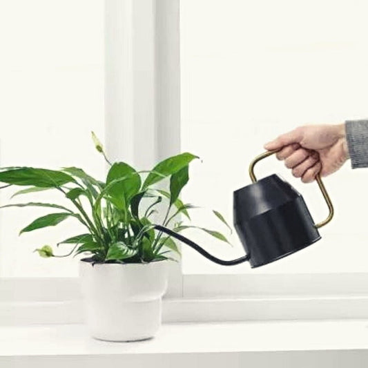 Leafy Aqua Sprout Watering Can | Available Color White, Brown, Cyan & Green |