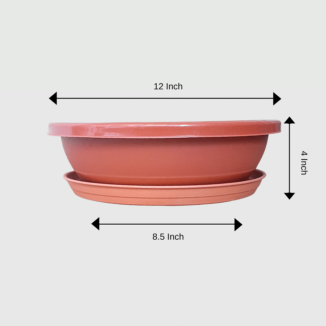 12-Inch Bonsai Oval Plastic Pot with Tray - Brown Color Set of 2/4