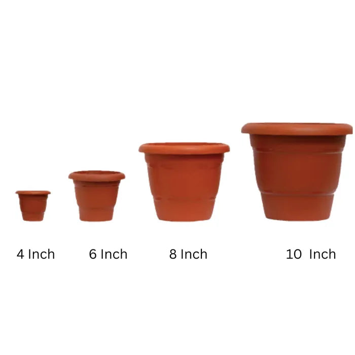 4-inch Black/ Brown  Garden/ Indoor Pot - Set of 10/20