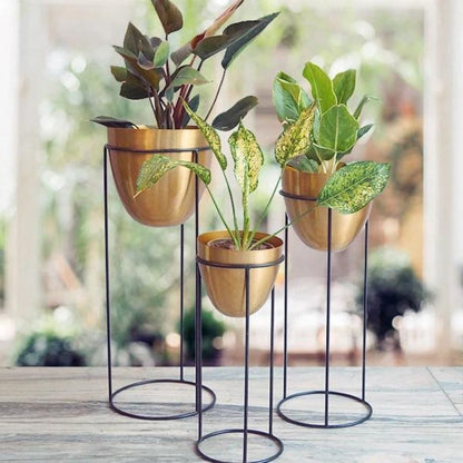 Olive Brass Metal Planter with Stand - Set of 3